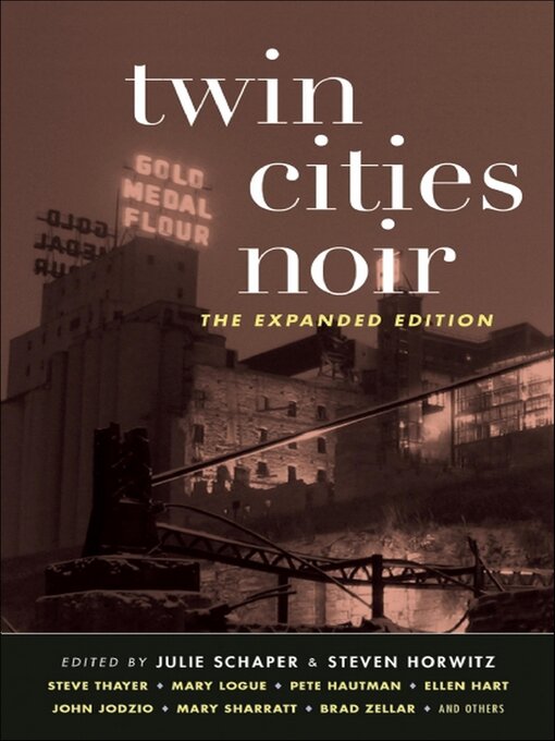 Cover image for Twin Cities Noir